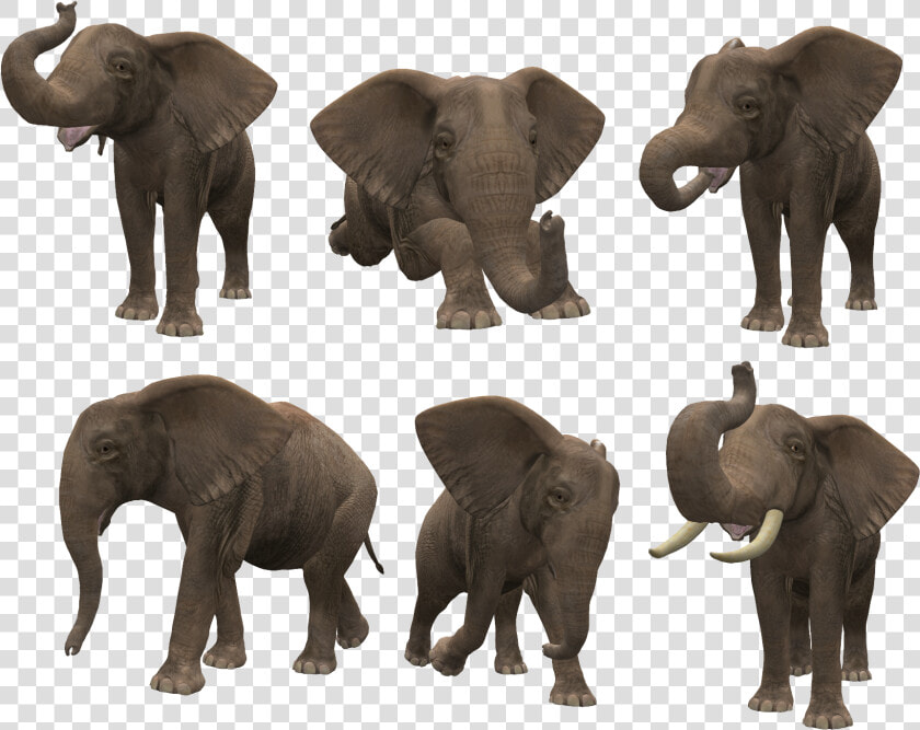 Download This High Resolution Elephants Icon   Png Format Png Elephant  Transparent PngTransparent PNG