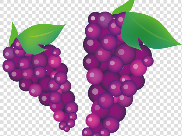 Grape Clipart Violet   Grapevine Clipart  HD Png DownloadTransparent PNG