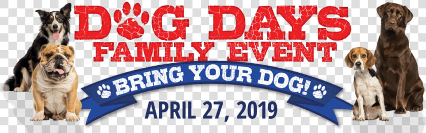 Cabela  39 s Dog Days  HD Png DownloadTransparent PNG