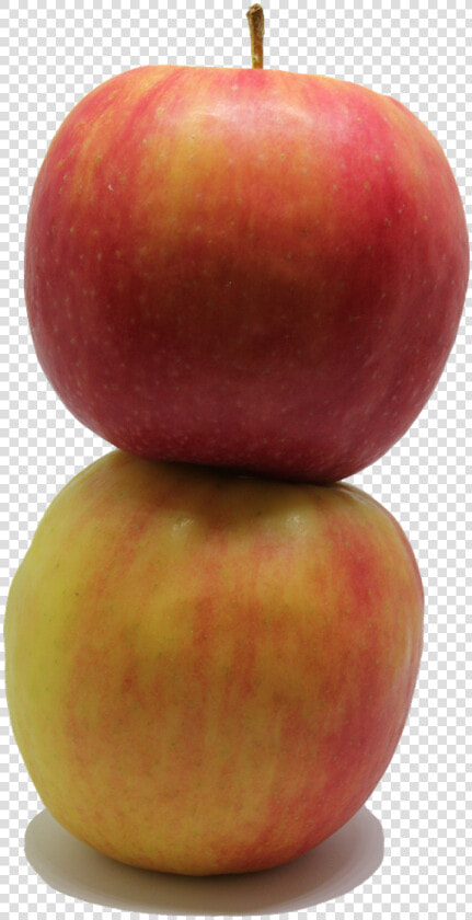 Apple Fruit Png Free Photo   Mcintosh  Transparent PngTransparent PNG