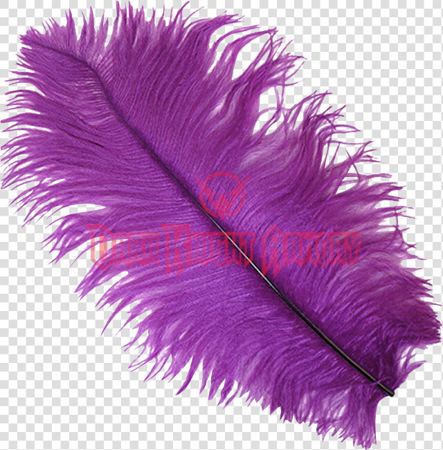 Transparent Feathers Wispy   Transparent Background Purple Feather  HD Png DownloadTransparent PNG