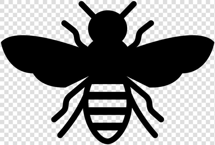 European Dark Bee Insect Stencil Honey Bee   Bee Png Black And White  Transparent PngTransparent PNG