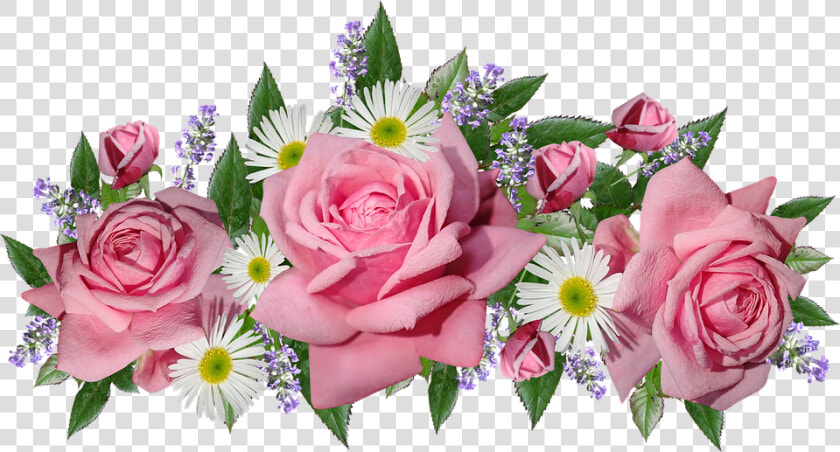 Flowers  Roses  Daisies  Lavender  Arrangement  Cut   Bunga Rose Pink Png  Transparent PngTransparent PNG