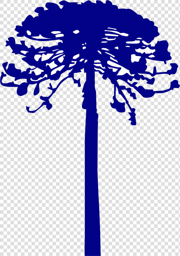 Palm Tree Vector Art 22  Buy Clip Art   Inti Illimani Autores Chilenos  HD Png DownloadTransparent PNG