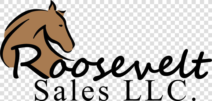 Roosevelt Sales Llc   Mane  HD Png DownloadTransparent PNG