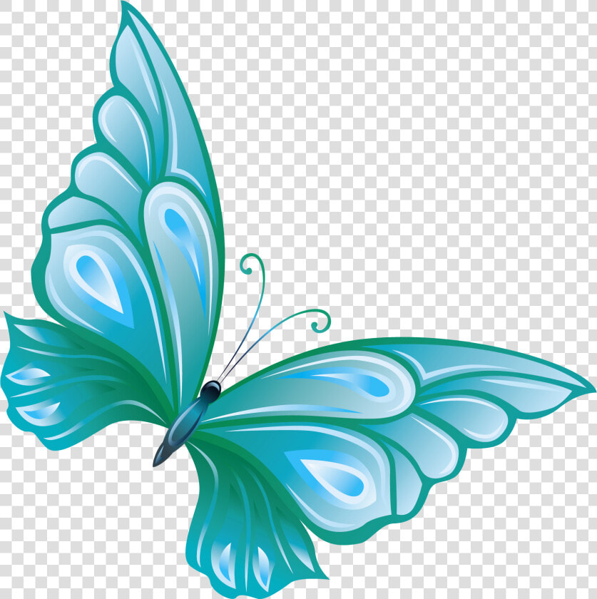 Butterfly Cliparts Background Png Download   Butterfly Clipart With Transparent Background  Png DownloadTransparent PNG