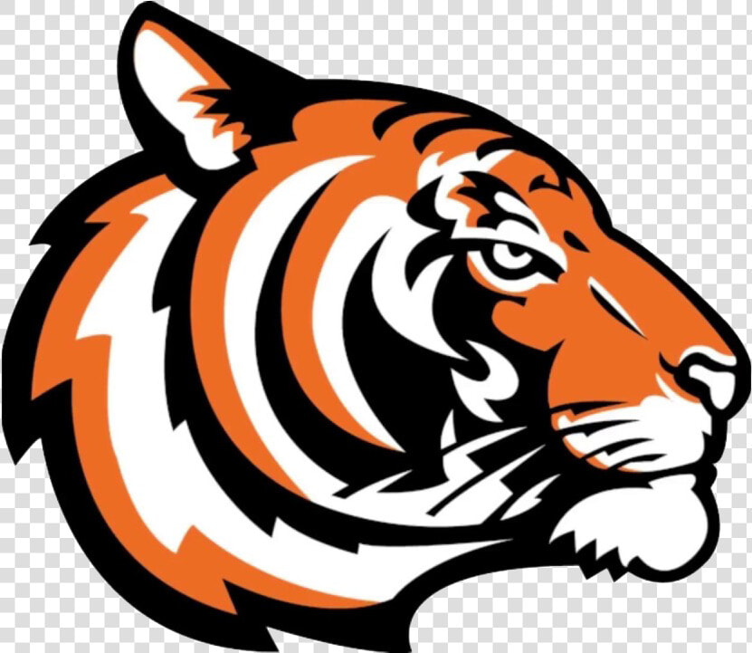 Princeton University Sports Logo   Transparent Cartoons   Princeton University Sports Logo  HD Png DownloadTransparent PNG