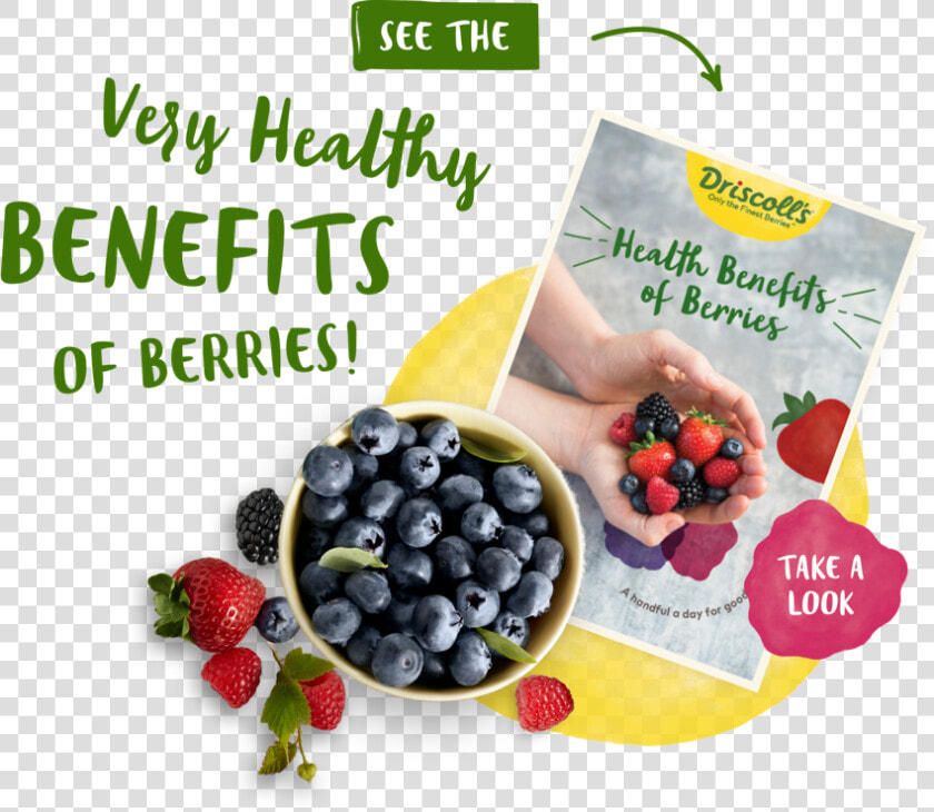 Berries Png   Frutti Di Bosco  Transparent PngTransparent PNG