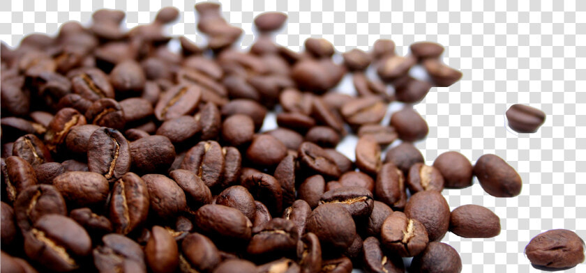 Coffee Beans Png Hd Wallpaper   Transparent Background Coffee Beans Png  Png DownloadTransparent PNG