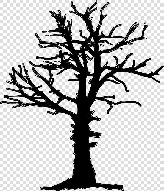 Plant Forest Dieback  Forest Decline  Tree  Dead  Dry    Dead Tree Silhouette Png  Transparent PngTransparent PNG