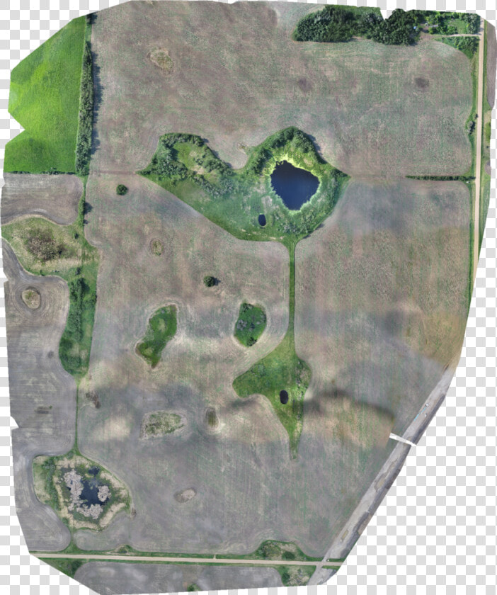 Wetlands  Conservation  Research  Aca  Nawmp  Agriculture    Visual Arts  HD Png DownloadTransparent PNG