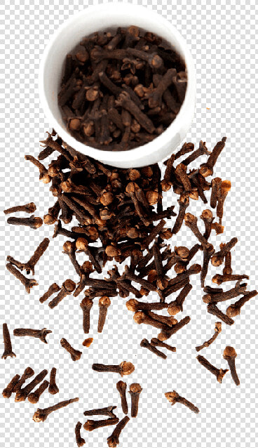 Top Quality Fresh Ceylon Spices Cloves From Sri Lanka   Transparent Clove Png  Png DownloadTransparent PNG