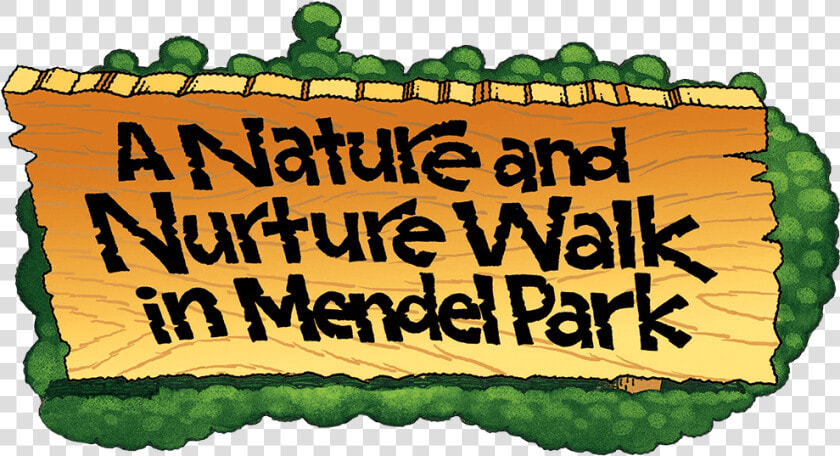 A Nature Nurture Walk In Mendel Park  HD Png DownloadTransparent PNG