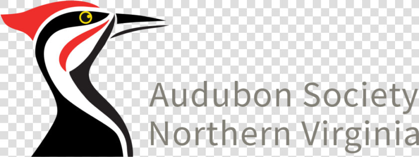 Audubon Society Of Northern Virginia  HD Png DownloadTransparent PNG