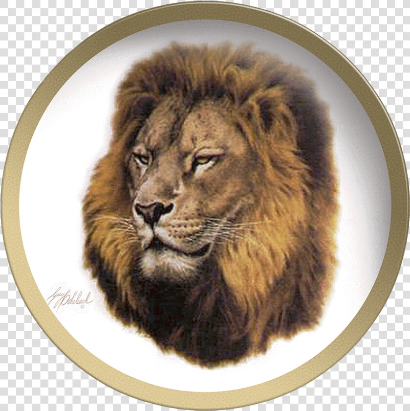 Collectable Plate By Guy Coheleach Lion Head Coffee   Lion  HD Png DownloadTransparent PNG