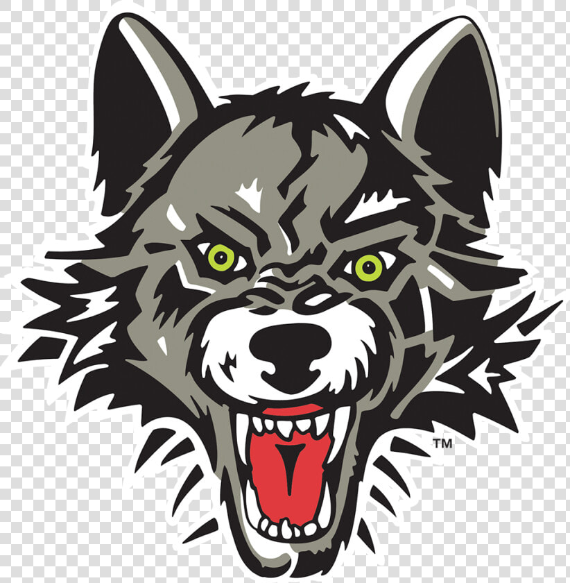 Chicago Wolves In Rosemont  Il   Chicago Wolves  HD Png DownloadTransparent PNG