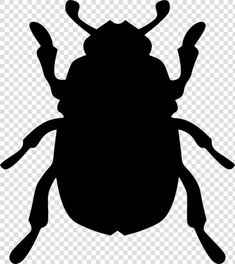 Beatle Beetle   Beetle Icon Png  Transparent PngTransparent PNG