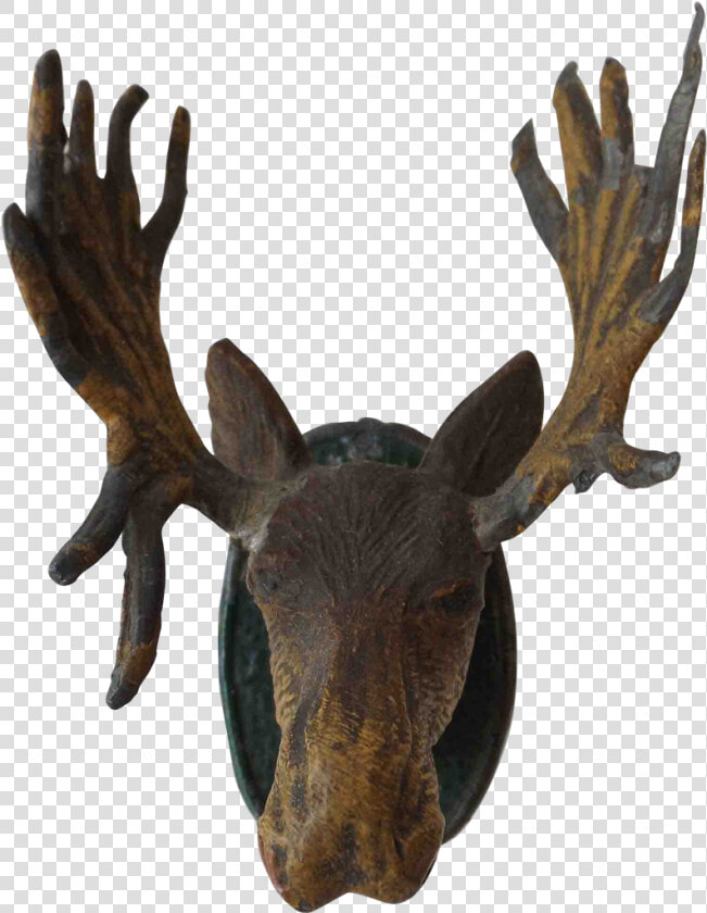 Moose Head Png   Moose Head Transparent Background  Png DownloadTransparent PNG