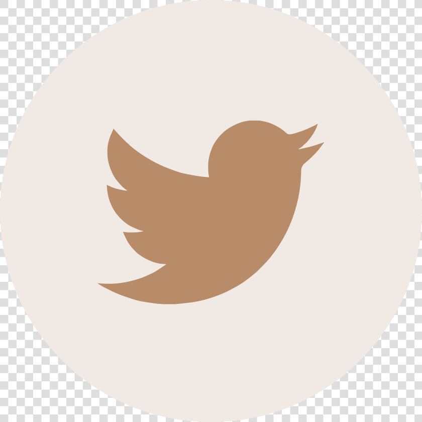 Twitter   Transparent Background Twitter Transparent  HD Png DownloadTransparent PNG