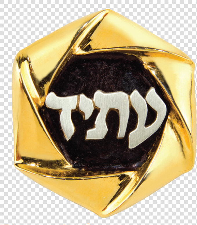 Transparent Torah Png   Ring  Png DownloadTransparent PNG