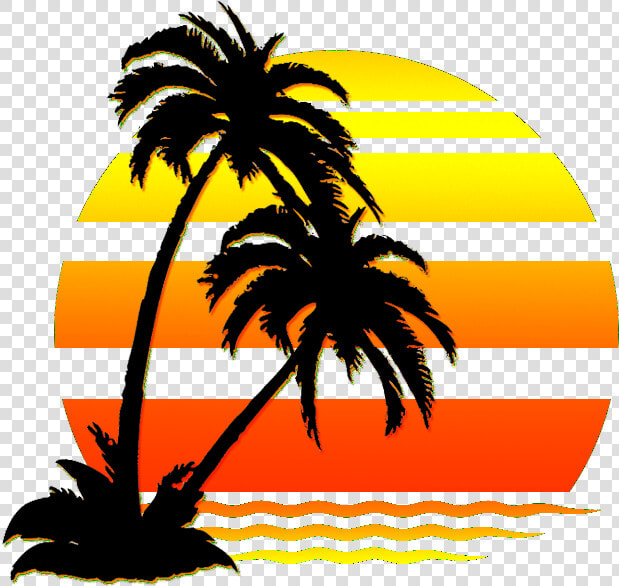  palmtree  water  sunset  silhouette  sun  aesthetic   Palm Tree Beach Clipart  HD Png DownloadTransparent PNG