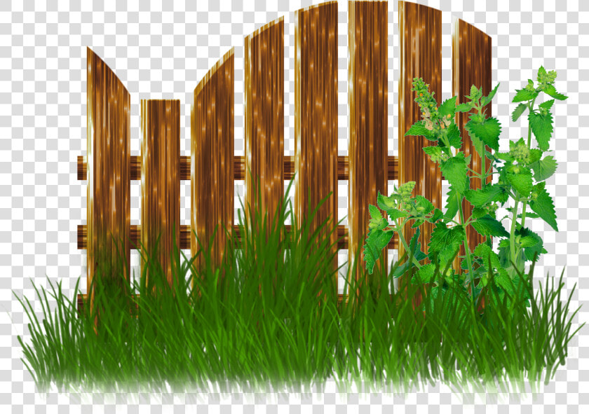 Transparent Fence Clipart   Garden Fence Png  Png DownloadTransparent PNG