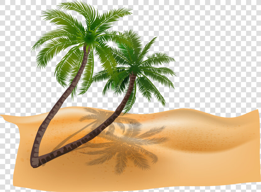 Vector Material Plant Coconut Trees Beach Beach   Beach Coconut Tree Png  Transparent PngTransparent PNG