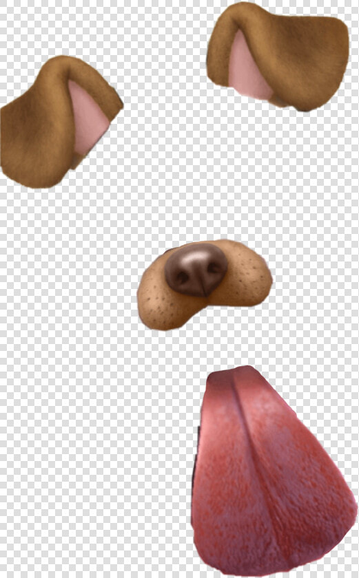  dog  dogfilter  snapchat  snapchatfilter  tongueout   Pictographic Writing System  HD Png DownloadTransparent PNG