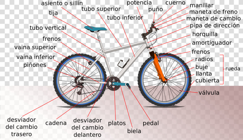 Anatomy Of A Mtb  HD Png DownloadTransparent PNG