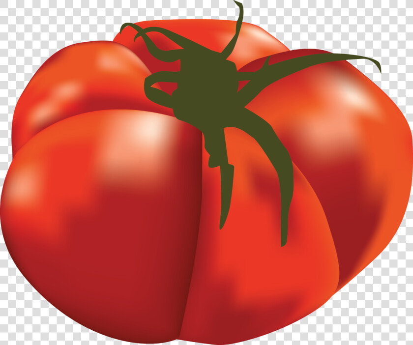 Popular Guide Part Steemit   Plum Tomato  HD Png DownloadTransparent PNG