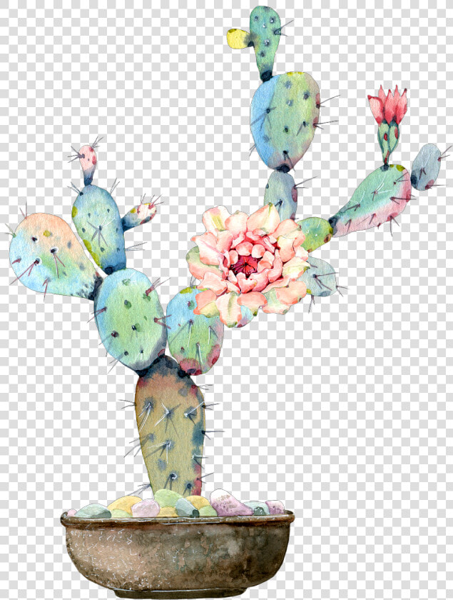  cactus  flower  watercolor  art  desert   Cactus And Flowers Water Color  HD Png DownloadTransparent PNG