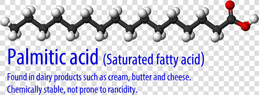 The White Balls Are Hydrogen  The Black Are Carbon    Saturated Fatty Acids Palmitic Acid  HD Png DownloadTransparent PNG