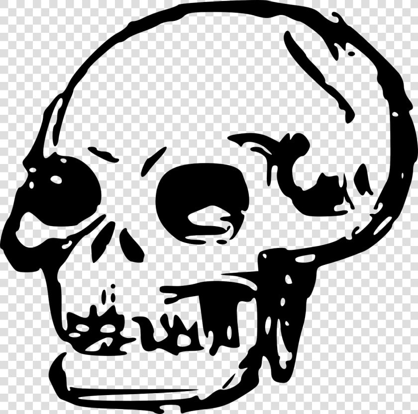 Line Art head skull   Skull Clip Art Png  Transparent PngTransparent PNG