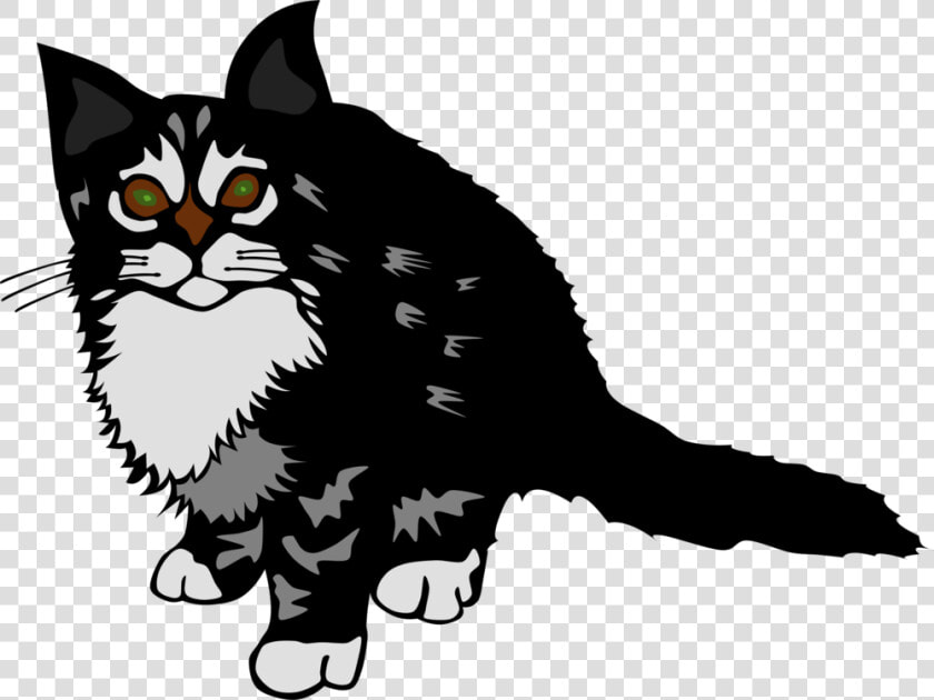 Wild Cat carnivoran kitten   Kitten Clip Art  HD Png DownloadTransparent PNG