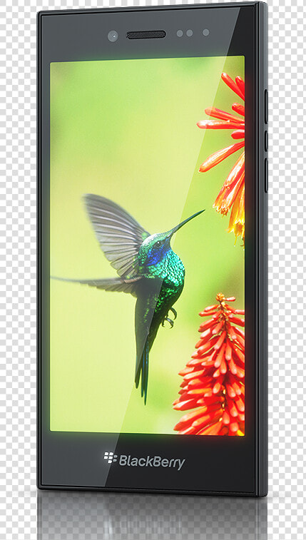 Blackberry Leap   Blackberry Leap Price  HD Png DownloadTransparent PNG