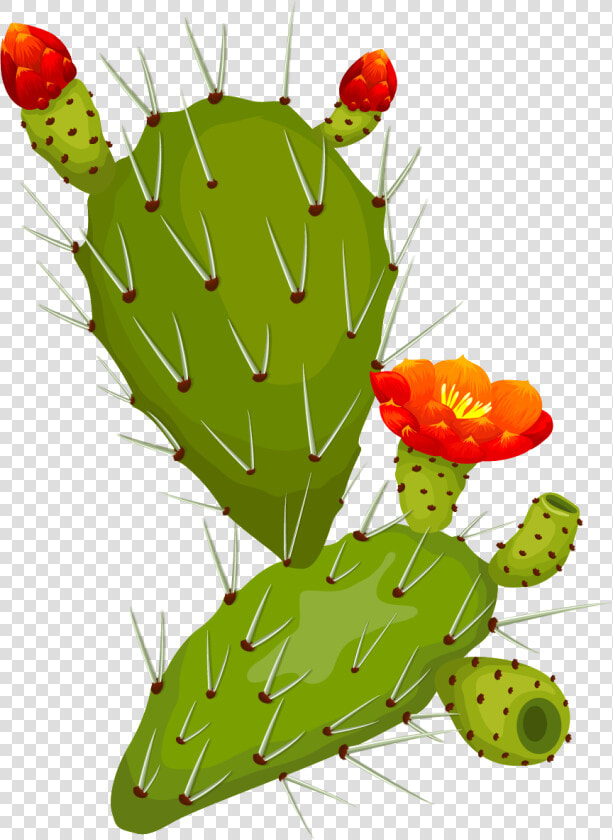 Thorn Fig  HD Png DownloadTransparent PNG