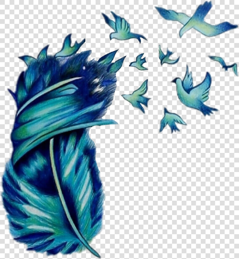 Transparent Feather Drawing Png   Birds And Feathers Art  Png DownloadTransparent PNG