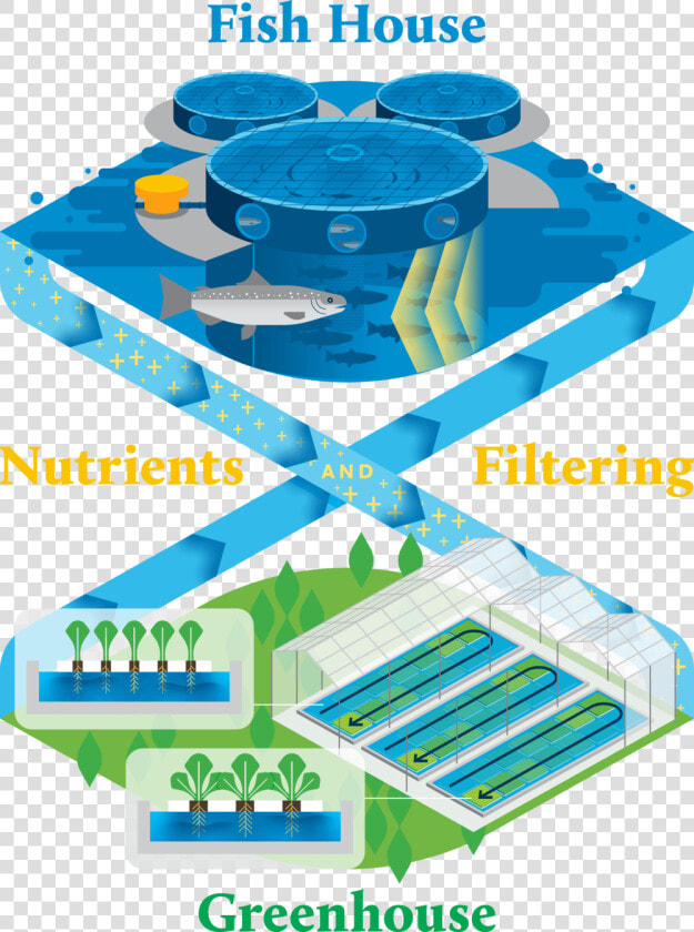 Superiorfresh Aquaponicsinfographic Simplified Vert   Soccer specific Stadium  HD Png DownloadTransparent PNG