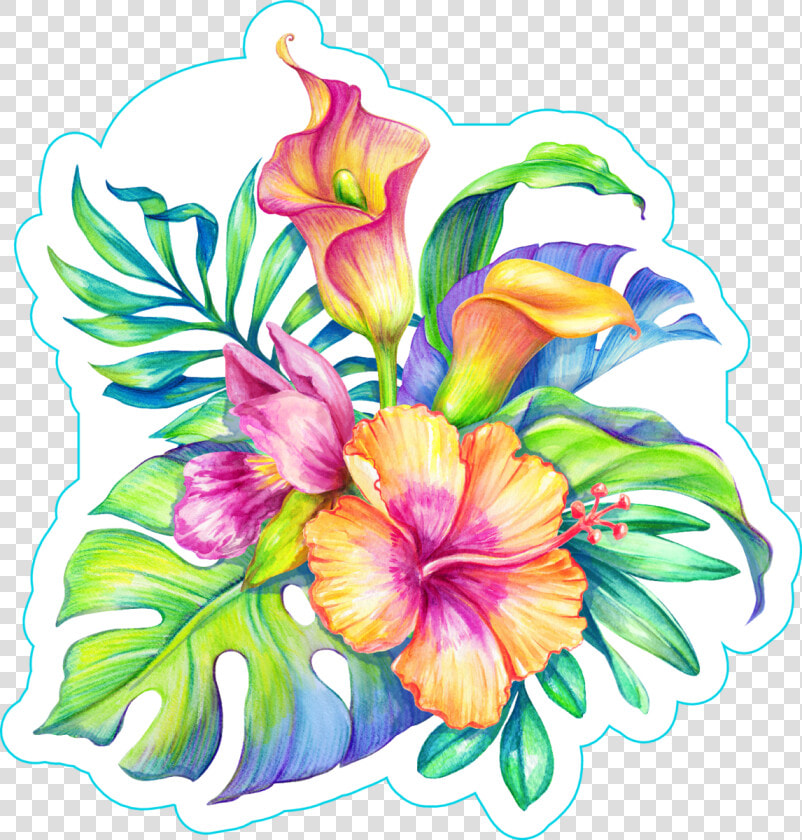 Bird Of Paradise Plant Png  watercolor Floral Illustration   Tropical Flowers  Transparent PngTransparent PNG