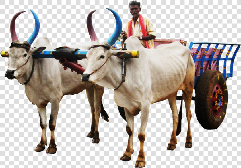 Bullock Cart Image Png   Png Download   Bullock Cart Image Png  Transparent PngTransparent PNG