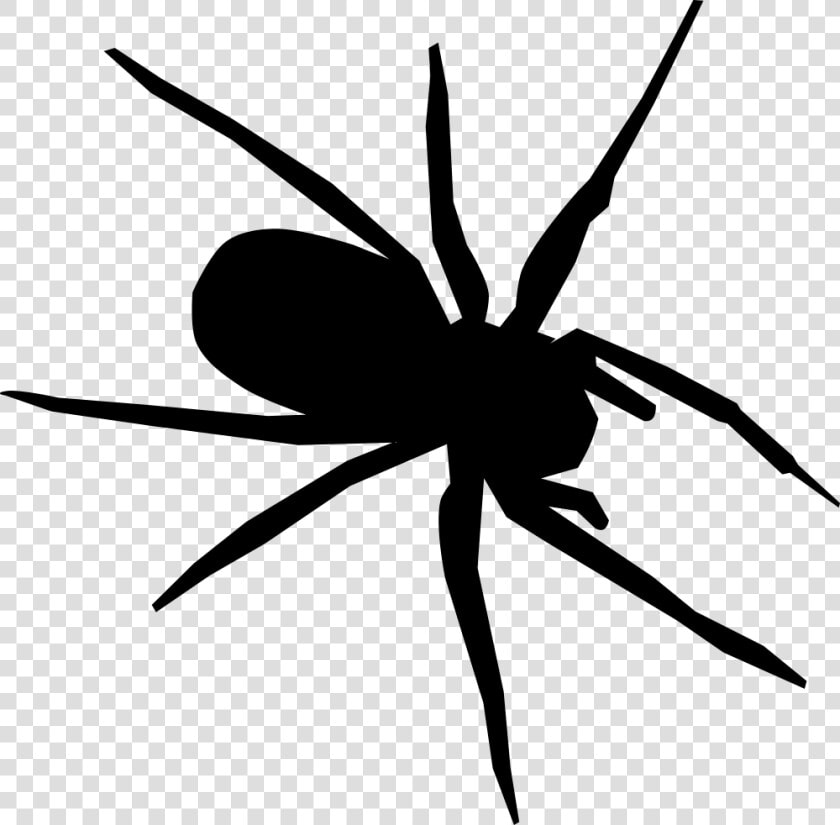 Tangle Web Spider Drawing Computer Icons Encapsulated   Black And White Spider Drawing  HD Png DownloadTransparent PNG