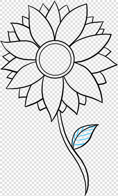 How To Draw Sunflower   Step Easy Simple Sunflower Drawing  HD Png DownloadTransparent PNG