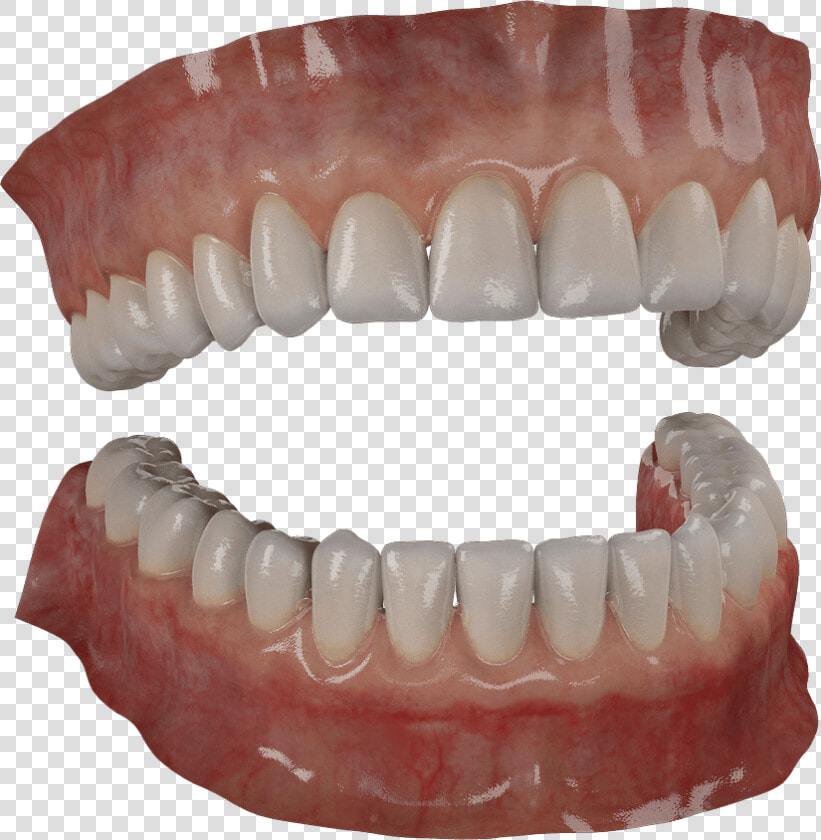 Transparent Wolf Teeth Png   Teeth Modeling  Png DownloadTransparent PNG