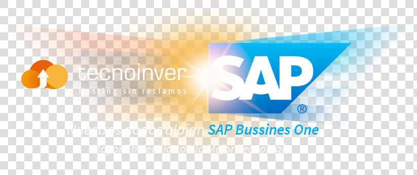 Sap Partner  HD Png DownloadTransparent PNG