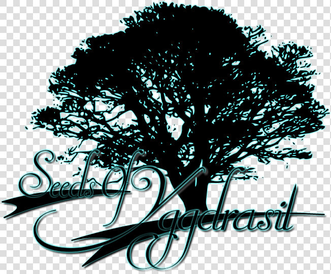 Picture   Banyan Tree Silhouette Png  Transparent PngTransparent PNG