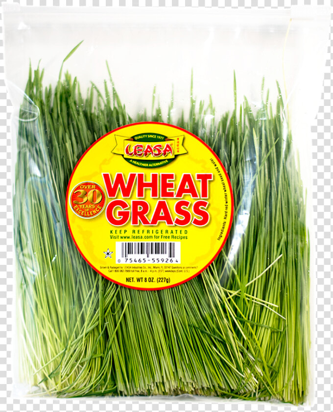 Wheatgrass Without Bg   Leek  HD Png DownloadTransparent PNG