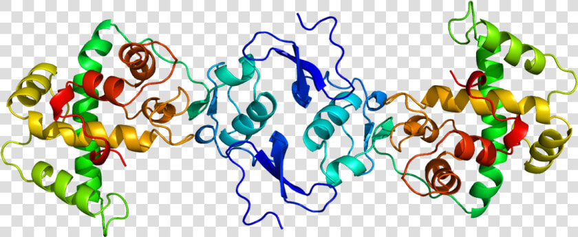 Protein Sparc Pdb 1bmo  HD Png DownloadTransparent PNG