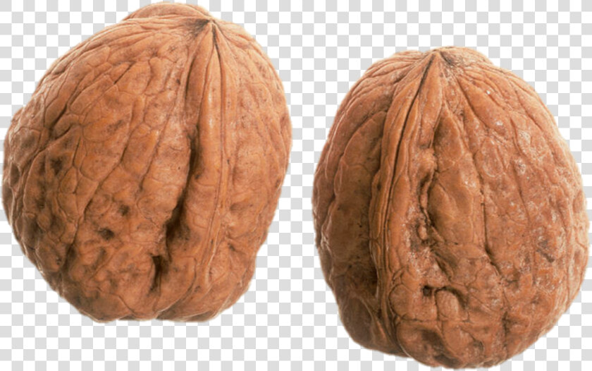 A Wrinkly Pair Of Nuts   Walnut  HD Png DownloadTransparent PNG