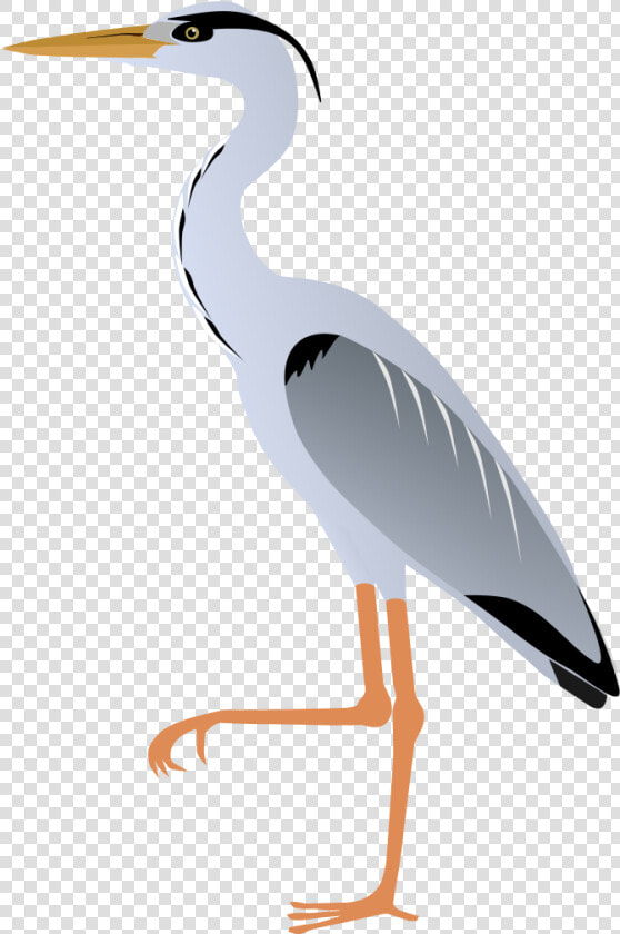 Great Blue Heron Clipart  HD Png DownloadTransparent PNG