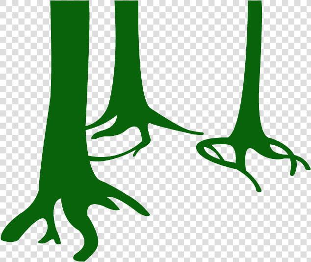 Silueta De Troncos De Arbol  HD Png DownloadTransparent PNG